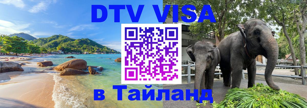 Оформление DTV визы под ключ: стоимость и тарифы, только загранпаспорт - 19.11.2025 
